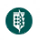 Knights of Pinus Sylvestris