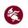 Vanguard Expert α