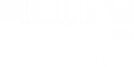 Code of Brawl