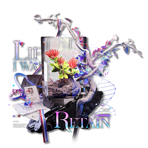 Life I Want to Retain
